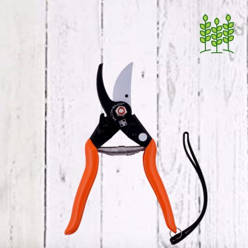 FALCON Major Pruner