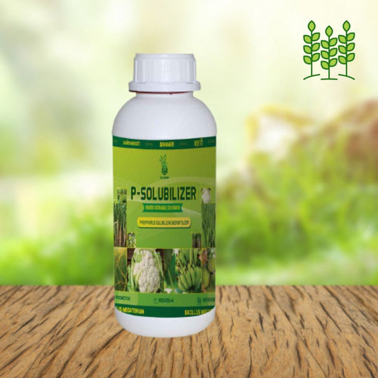 P-SOLUBILUZER (PHOSPHOBACTERIUM) Liquid / Powder Plant Biofertilizer for Garden