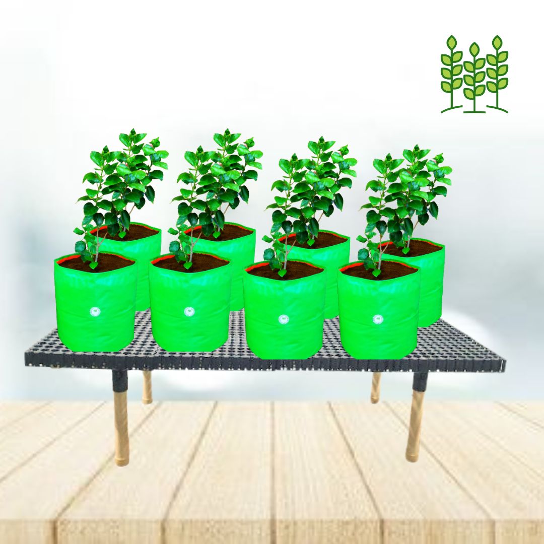 BLS - Balcony Long Stand Model for Terrace Garden