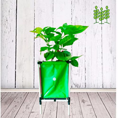 Square Planter Large (SPL) 20x20x32 Inches for Terrace Garden | Fruits