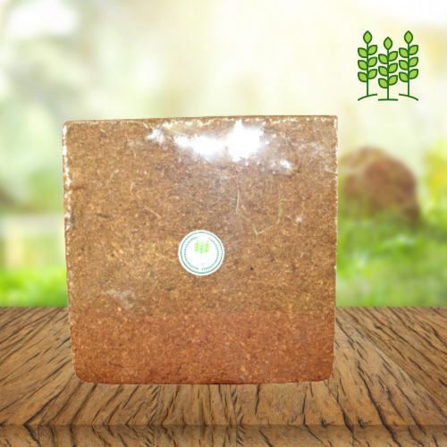 COCO Peat Block