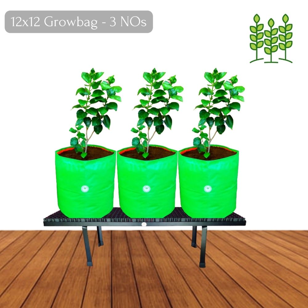 Balcony MS Stand (BLSMS) 40x10x12 Inches for Terrace Garden