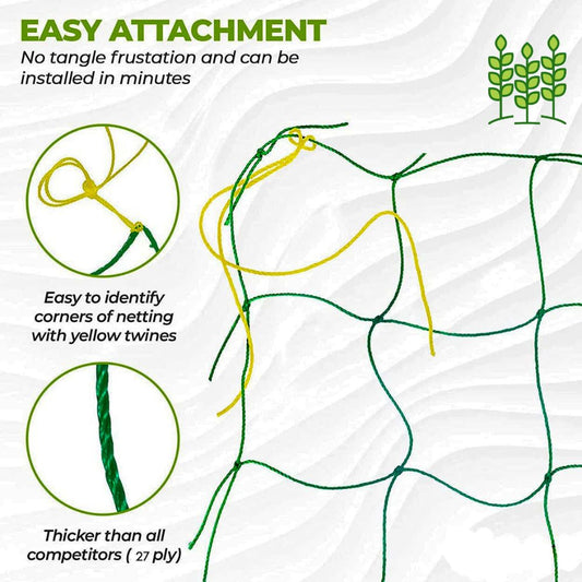Climbing Net & Creeper Support For Terrace Garden