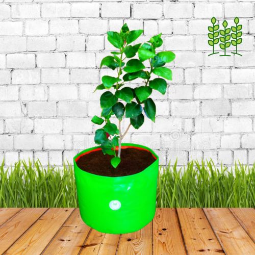 18x12 RND HDPE 220 GSM GrowBag