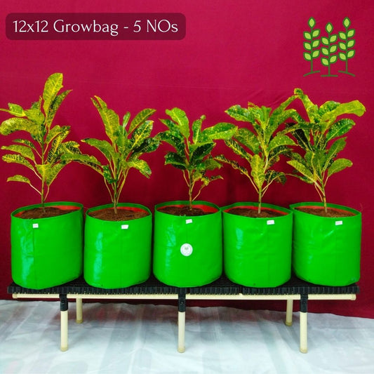 5G6L (60x10x12 In.) Stand Model with 6Legs for Terrace Garden