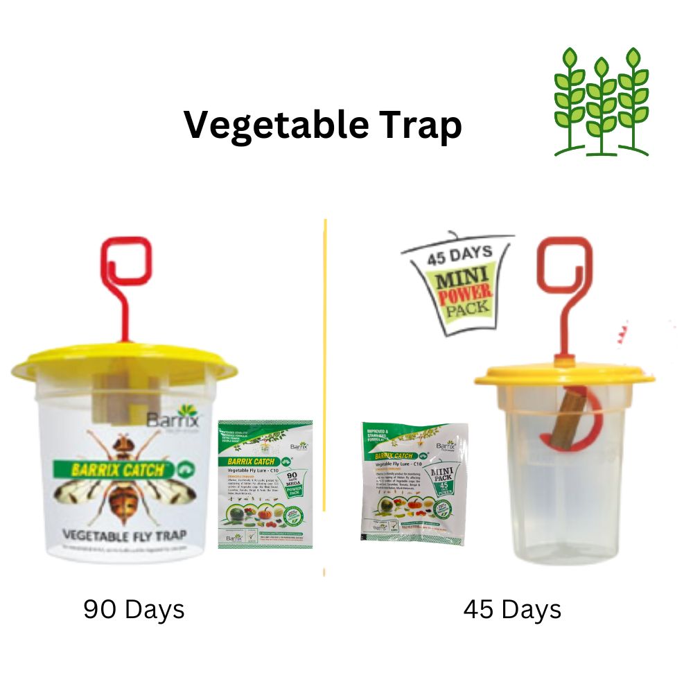 BARRIX Vegetable Fly Trap & Lure