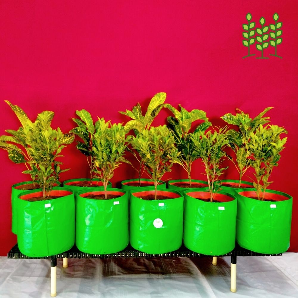 10G (60x20x12 In.) Stand Model for Terrace Garden