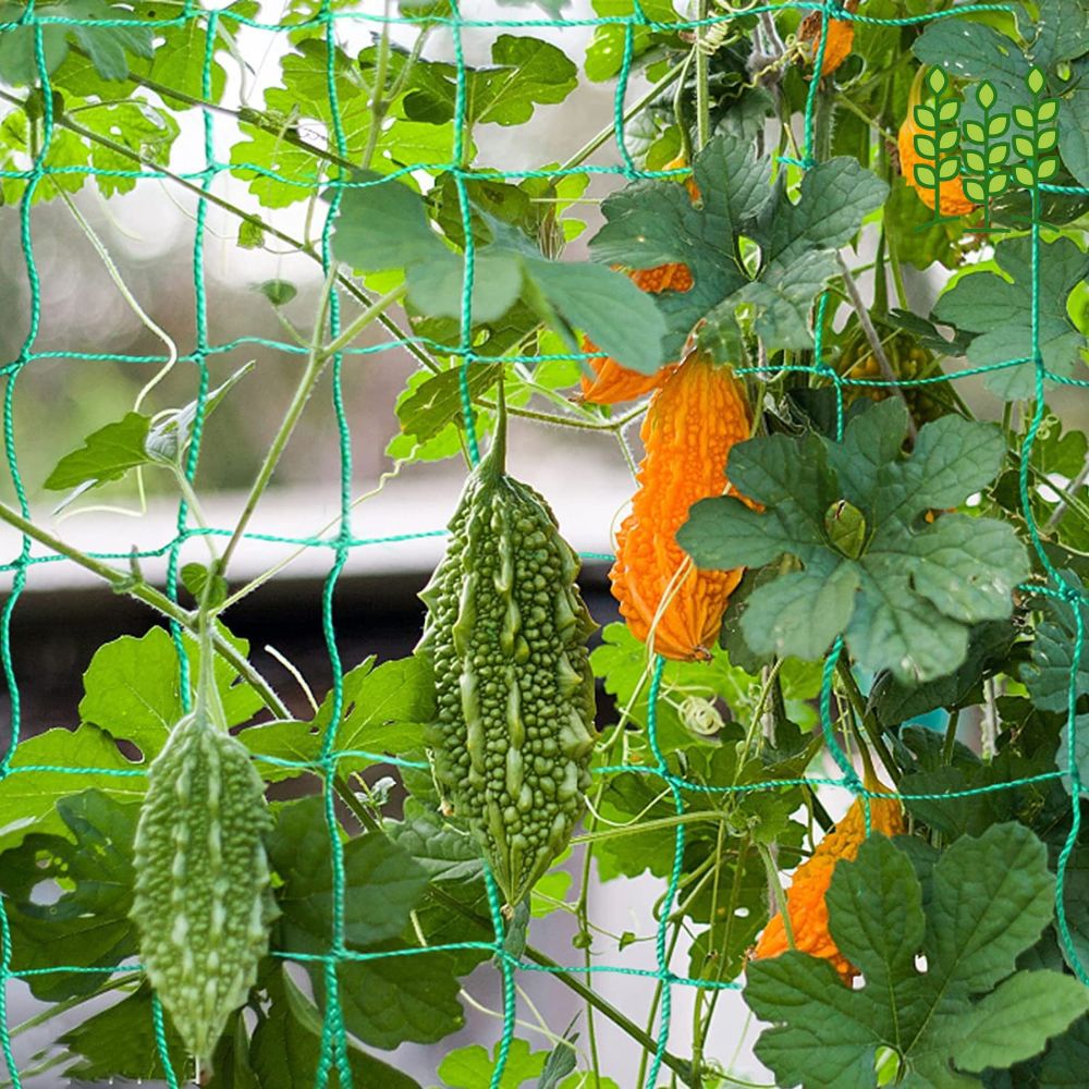 Climbing Net & Creeper Support For Terrace Garden