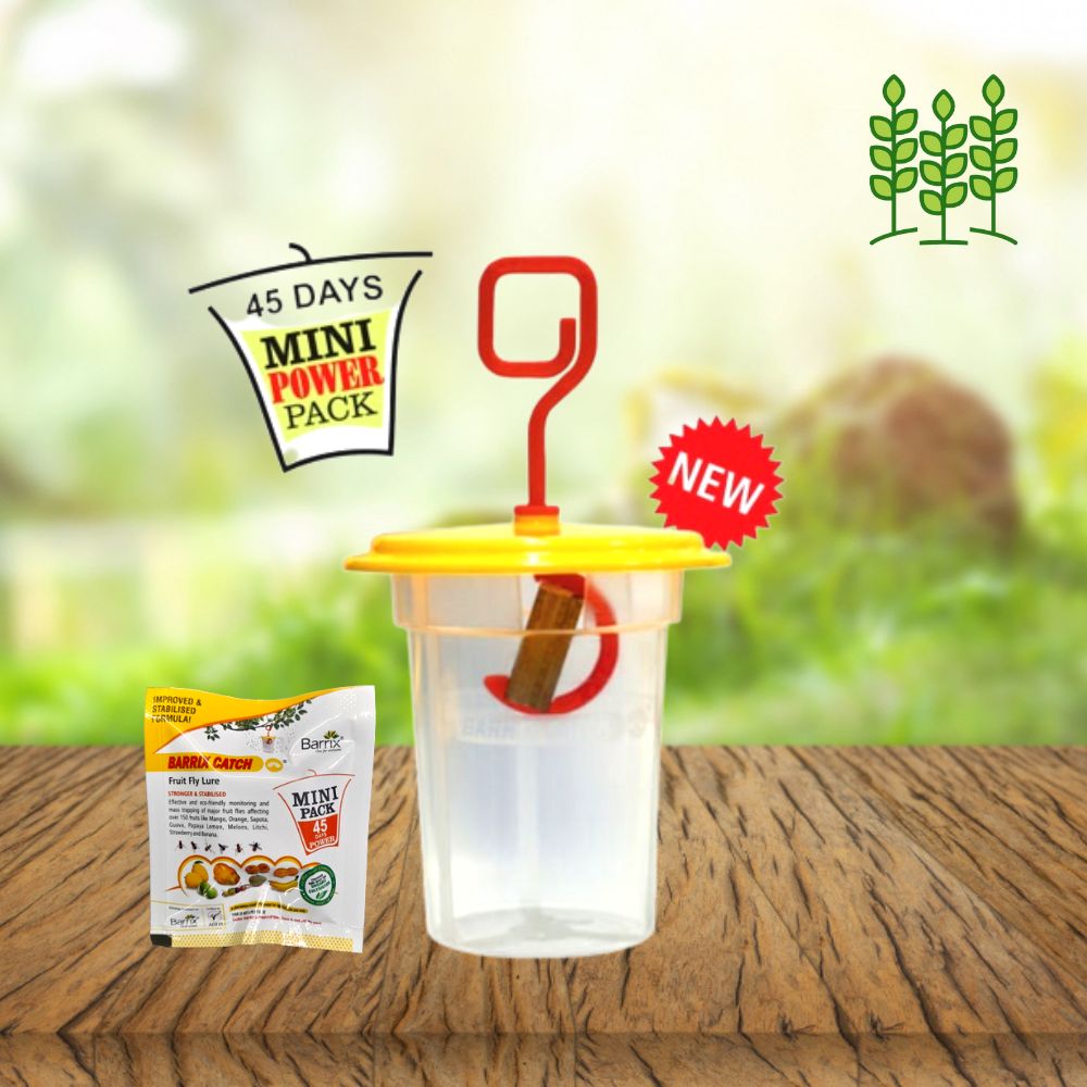 BARRIX Fruit Fly Trap & Lure