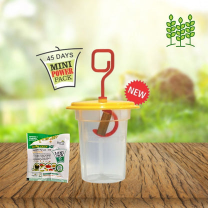 BARRIX Vegetable Fly Trap & Lure