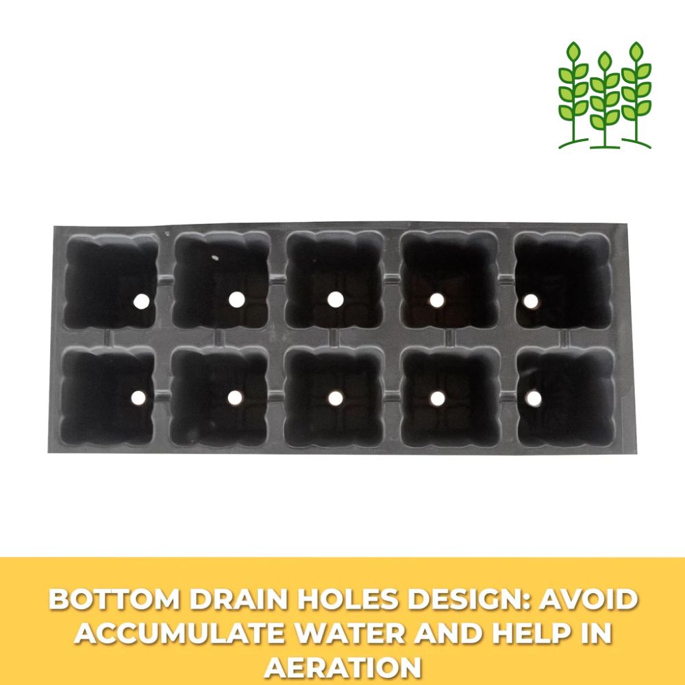 Seedling Tray  8 Cavity - Pack of 5