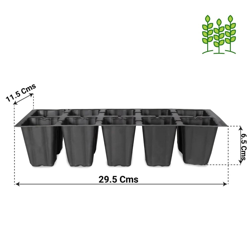 Seedling Tray 10 Cavity - Pack of 5