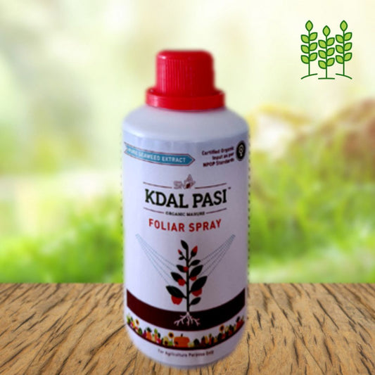 Kadal Pasi (Foliar Spray) Organic Seaweed Liquid for plants (1 LTR) for Garden