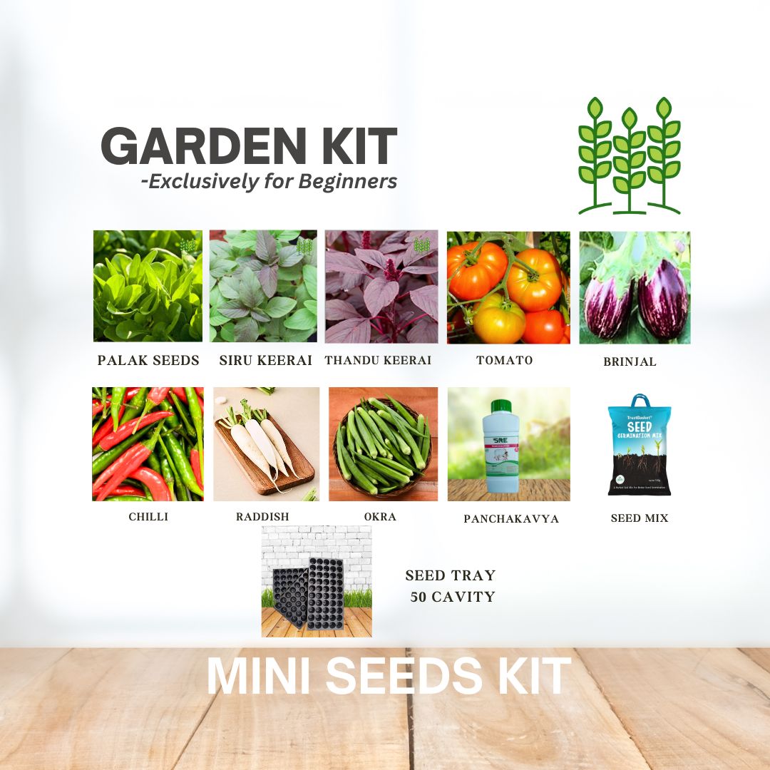 HYOFarms® Mini Garden Seeds Kit