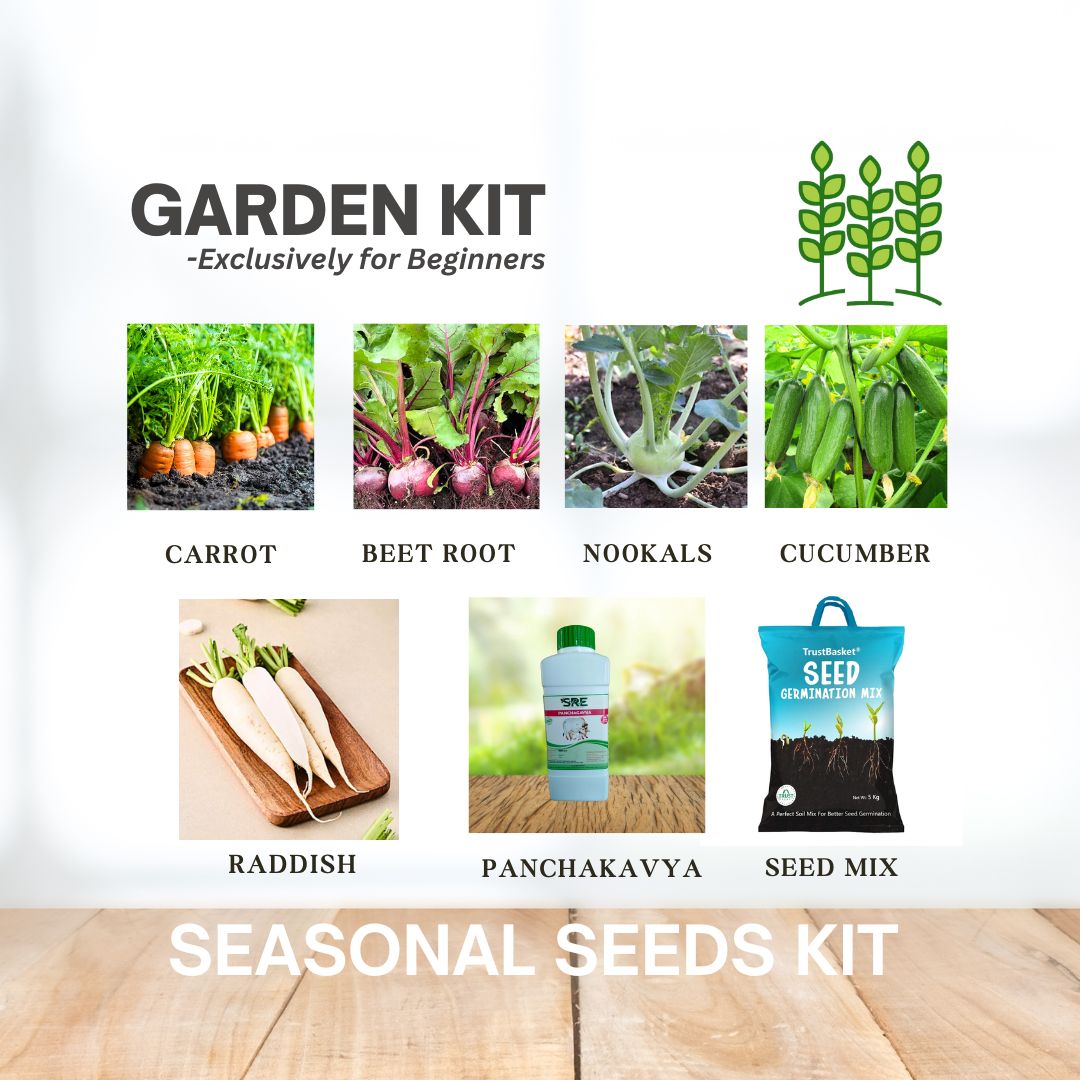 HYOFarms® Seasonal Garden Seeds Kit