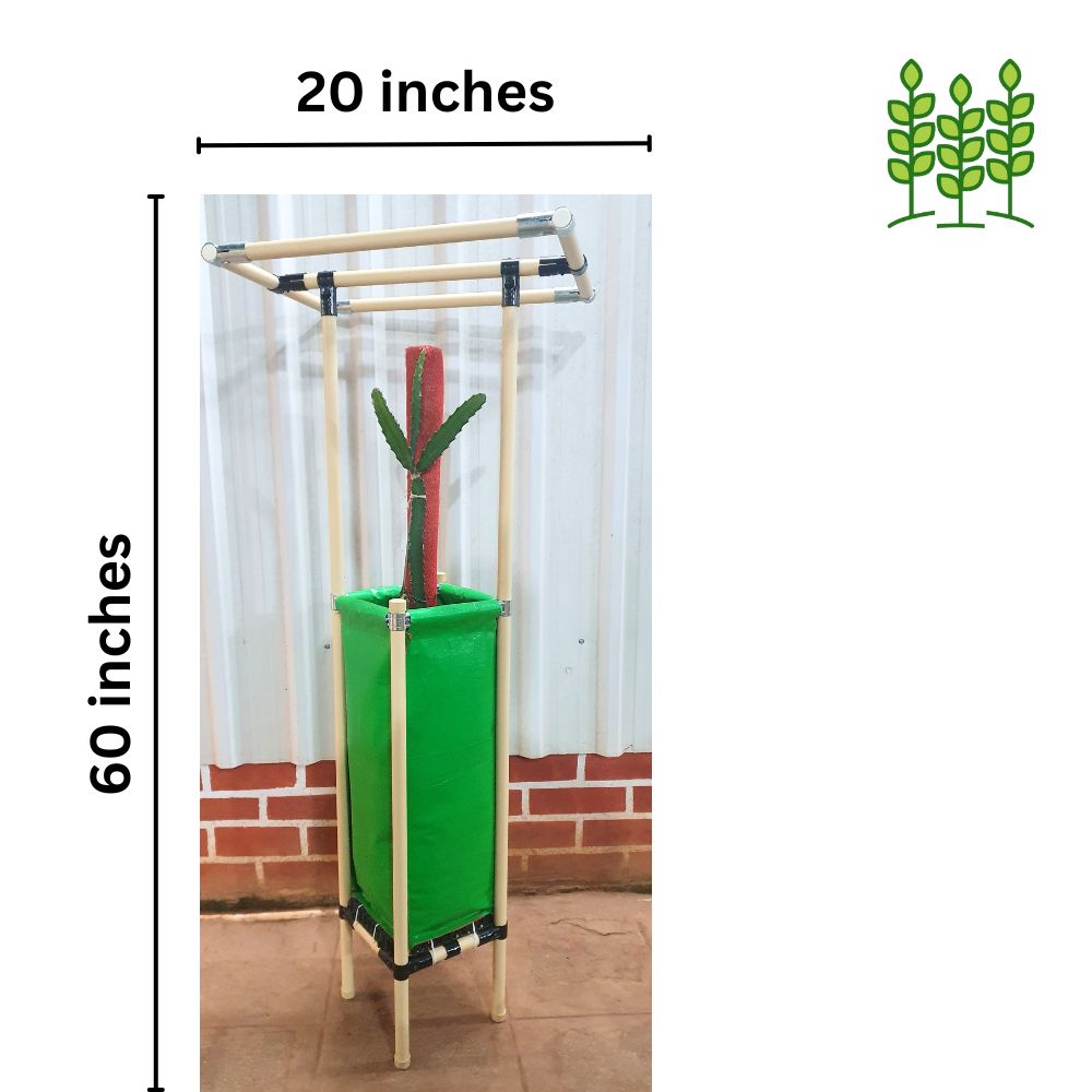 Dragon Fruit Planter (20x20x60 In.) Stand