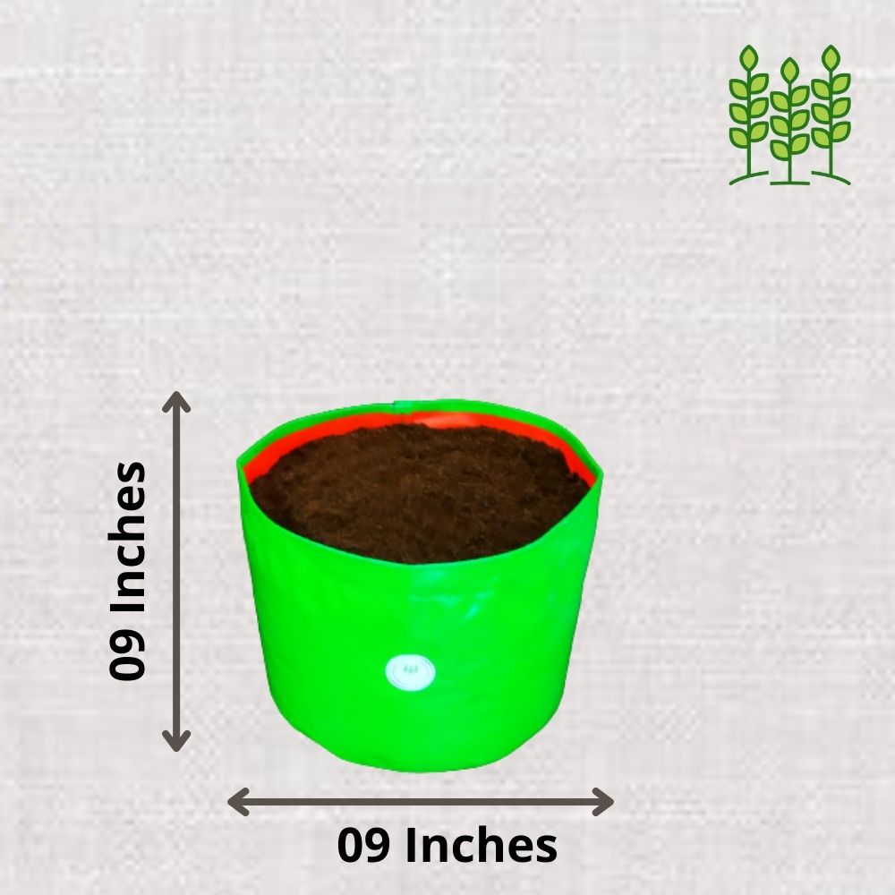 09x09 RND HDPE 220 GSM GrowBag