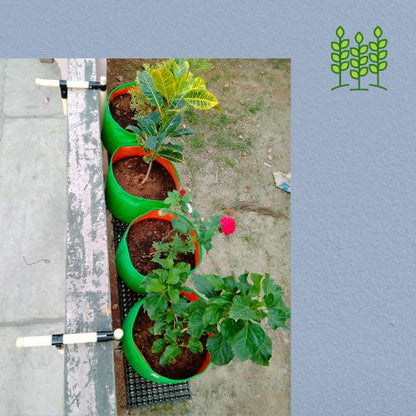 Wall Mount (WM) Hang Model (60x10x22 Inches) for Terrace Garden