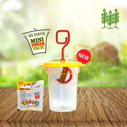 BARRIX Fruit Fly Trap & Lure