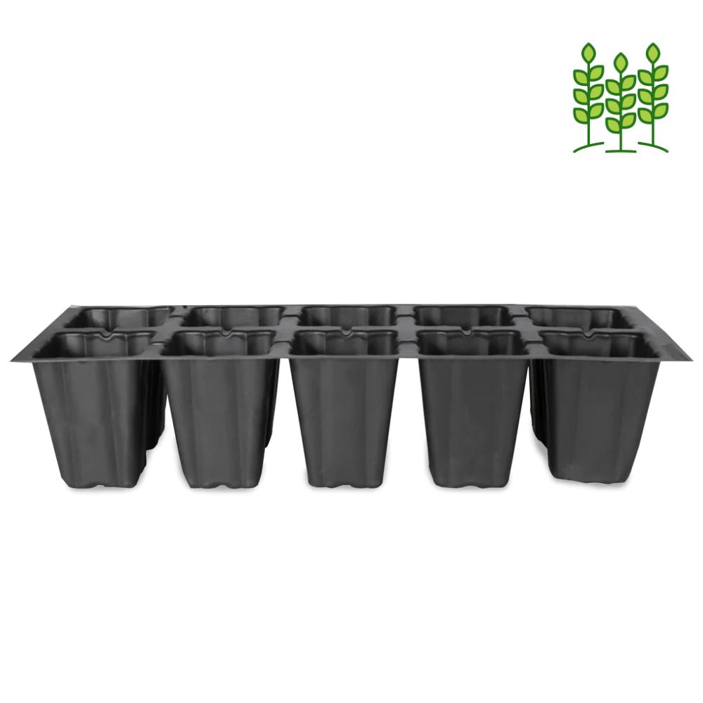 Seedling Tray  10 Cavity - Pack of 5