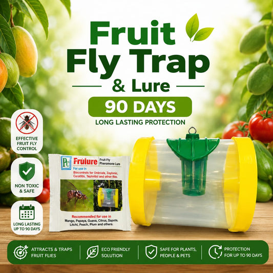 Fruit Fly Trap & Lure