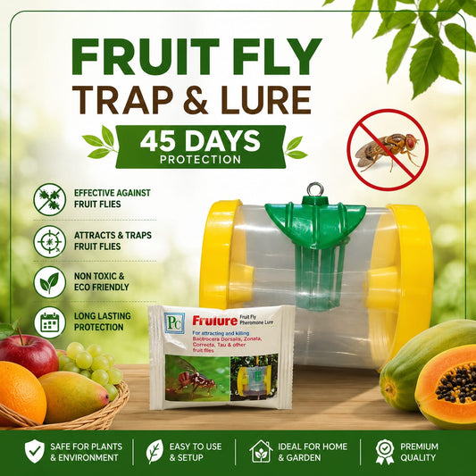 Fruit Fly Trap & Lure