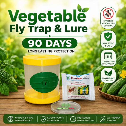 Vegetable Fly Trap & Lure