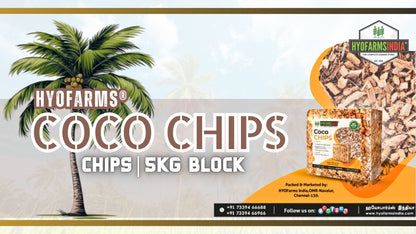 COCO CHIPS