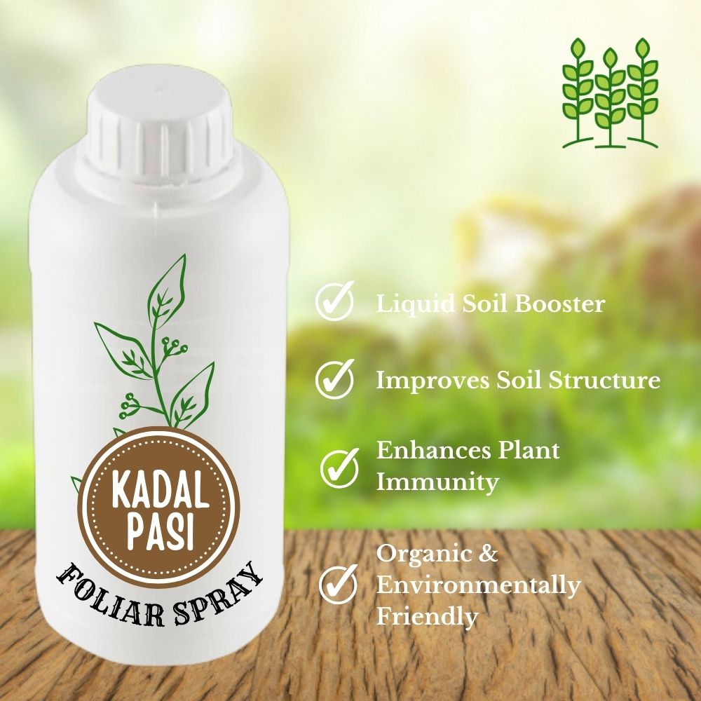 Kadal Pasi (Foliar Spray) Organic Seaweed Liquid for plants (1 LTR) for Garden