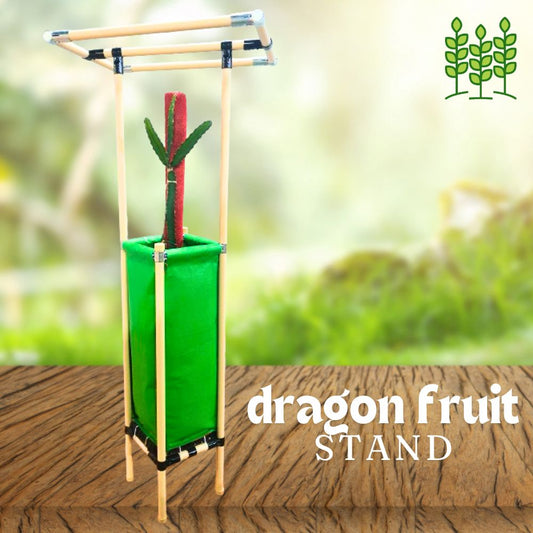 Dragon Fruit Planter (20x20x60 In.) Stand