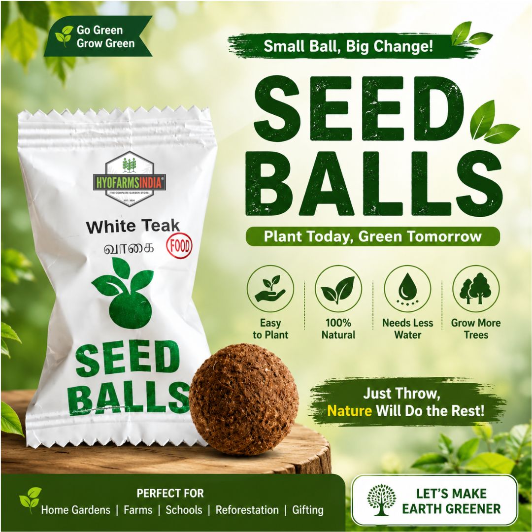Seed Balls