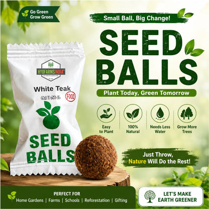 Seed Balls