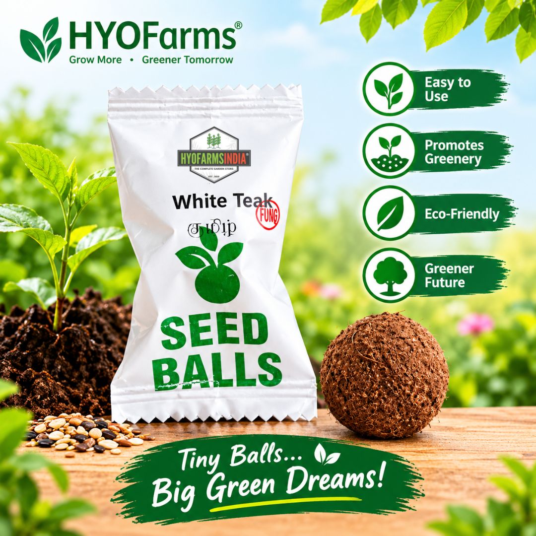 Seed Balls