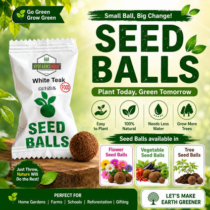 Seed Balls