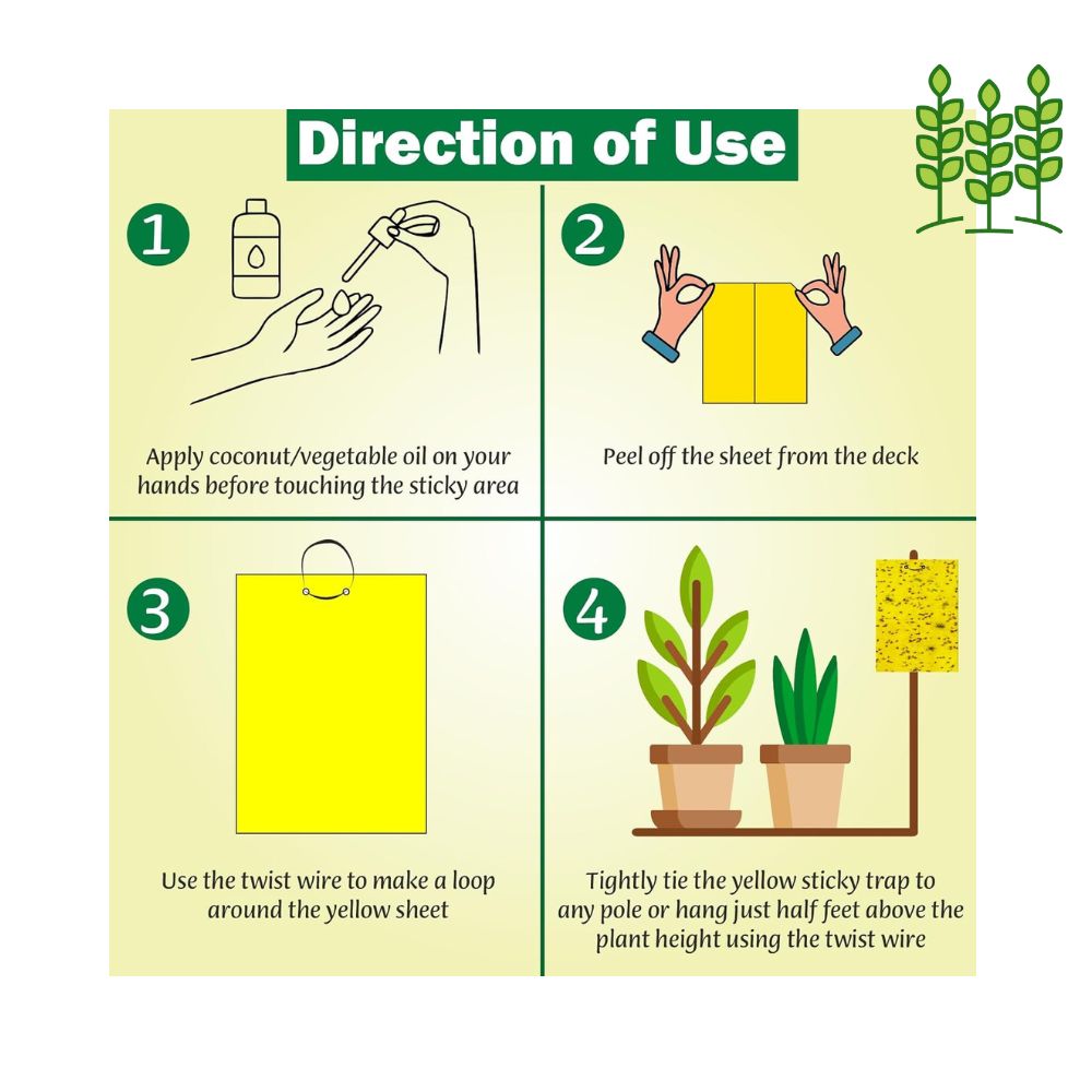 Sticky- A Fly Trap- 5 PCs