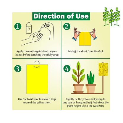 Sticky- A Fly Trap- 5 PCs