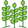 HYOFarms India® logo